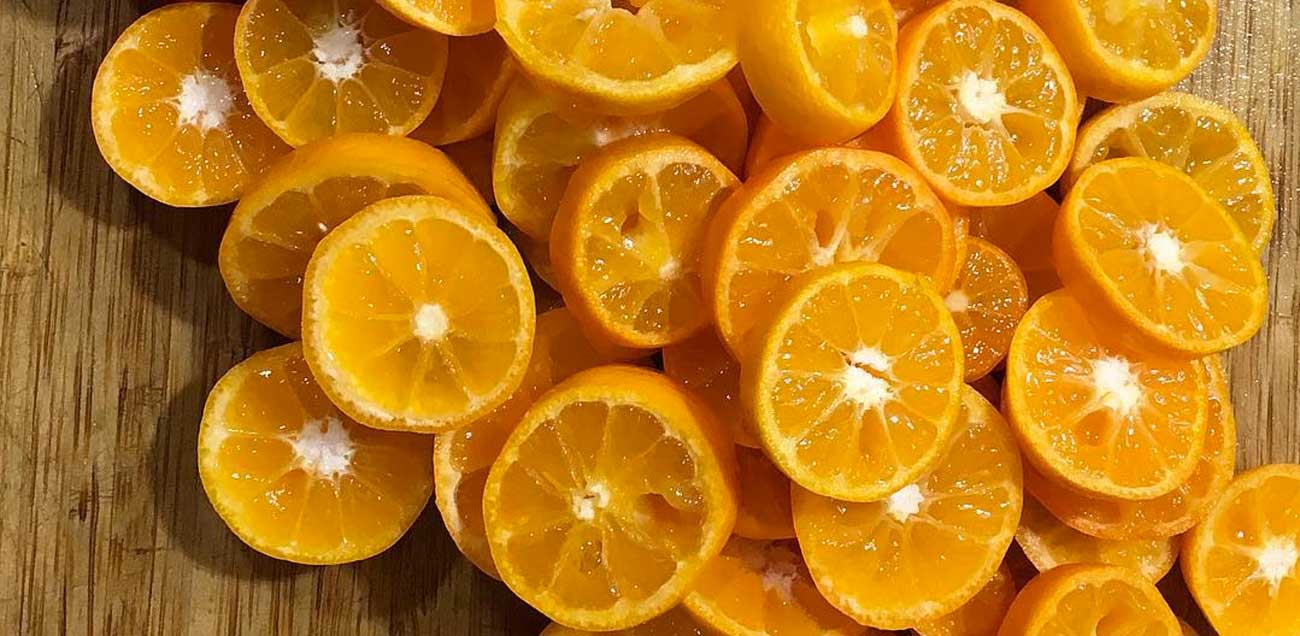 How to grow citrus in pots (in any climate zone) Tyrant Farms